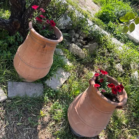 Lefteris Holiday home